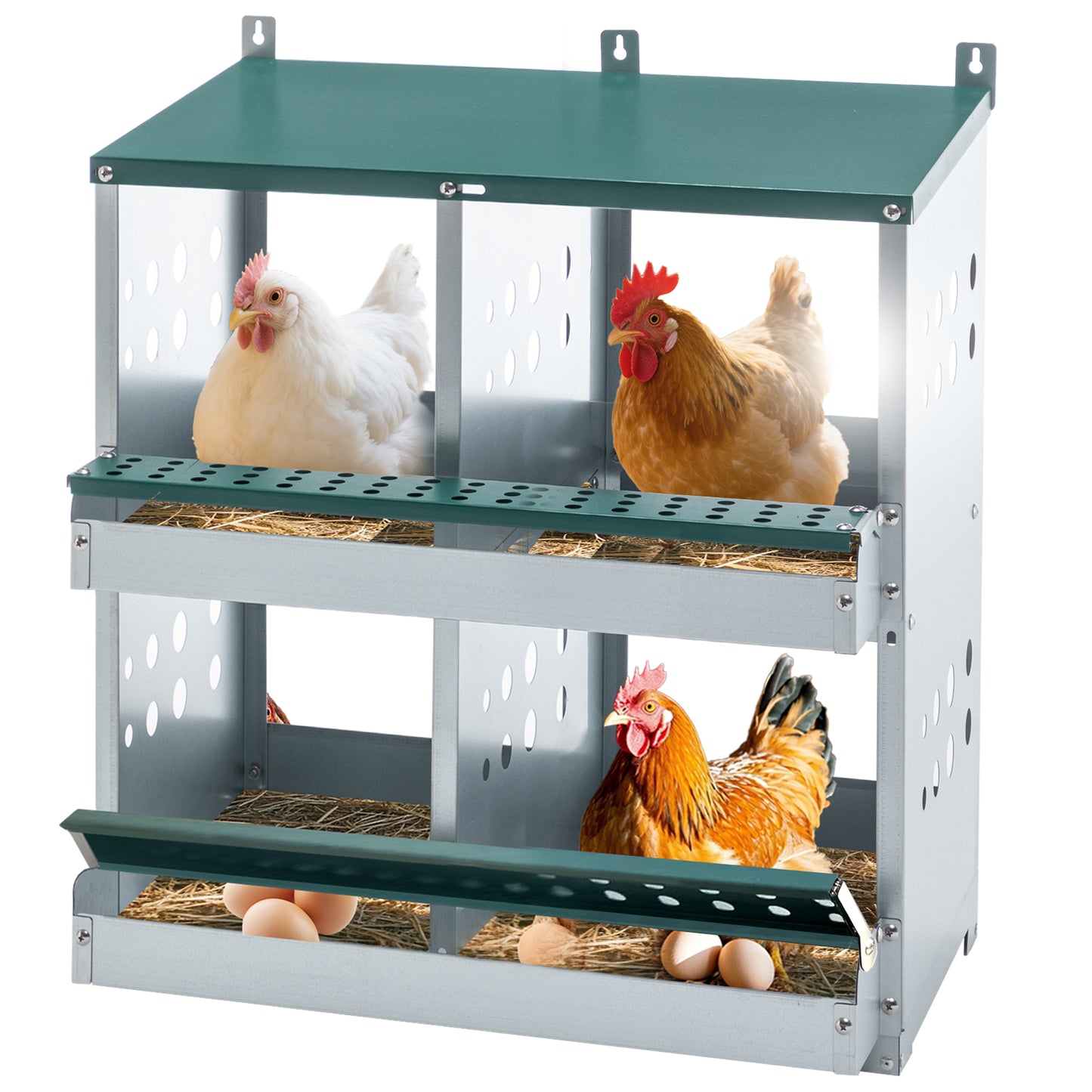 4 Compartment Chicken Nesting Boxes, Metal Nesting Boxes Wall Mount Chicken Egg Laying Box For Different Chicken Breeds